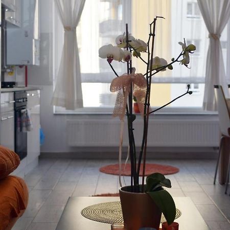 Aki Studio Lejlighed Braşov Eksteriør billede