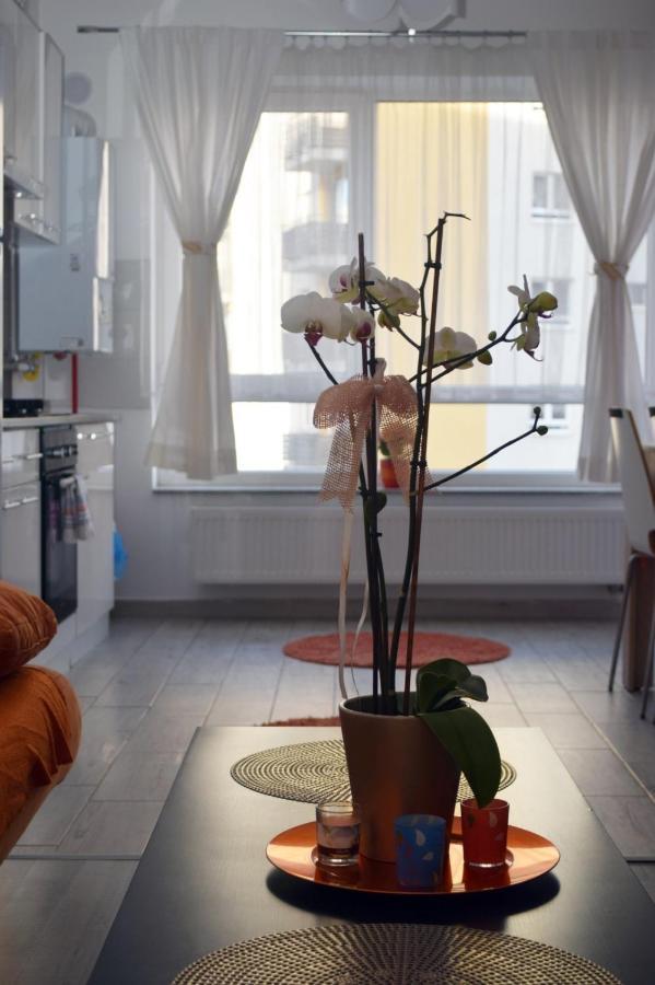 Aki Studio Lejlighed Braşov Eksteriør billede